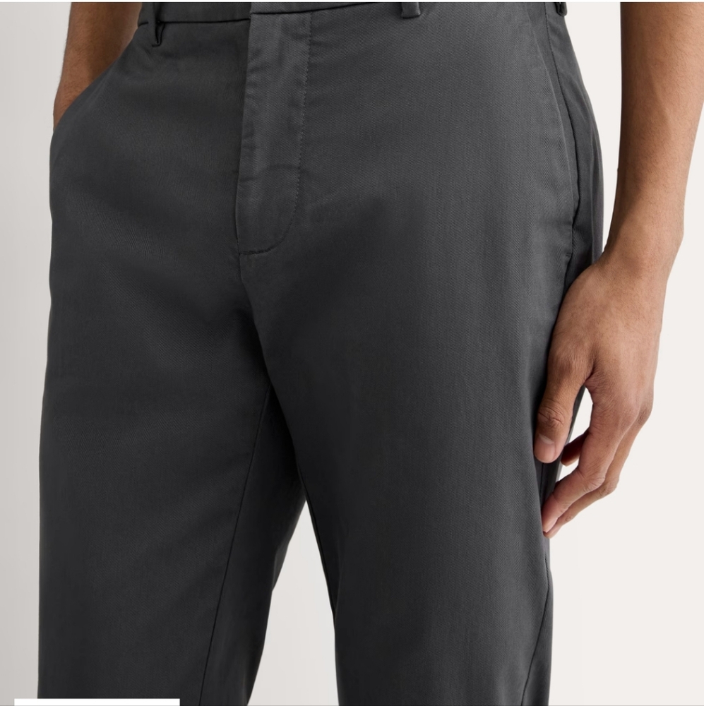 EVERLANE Slim Fit Chino Pants Men 29X30 Dusty‎ Olive Strech